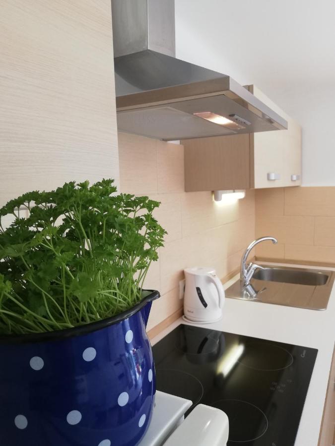 Apartments Mas Dovje Extérieur photo